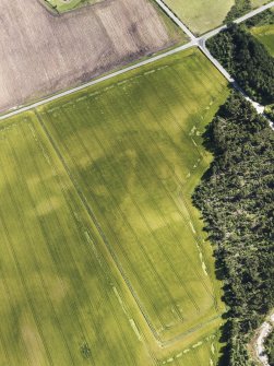 Oblique aerial view of the cropmarks of the round barrows, looking to the S.