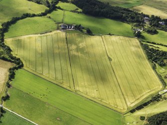 Oblique aerial view of the cropmarks of the barrow, looking to the NNW.