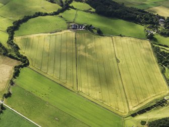 Oblique aerial view of the cropmarks of the barrow, looking to the NNW.