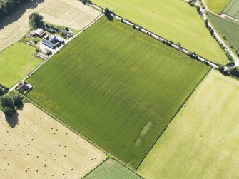 Oblique aerial view of the cropmarks of the enclosure with the remains of the cairns adjacent, looking to the NW.