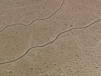 Oblique aerial view of the drainage patterns in the muds in the Beauly Firth.