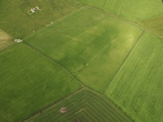 Oblique aerial view of the cropmark of the field boundary with Northbreck farmstead adjacent, taken from the SE.