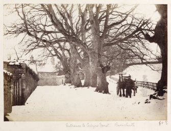 Page 32/5. General view of Cadzow forest entrance.
Titled 'Entrance to Cadzow Forest, Barncluith.'
PHOTOGRAPH ALBUM NO 146: THE THOMAS ANNAN ALBUM