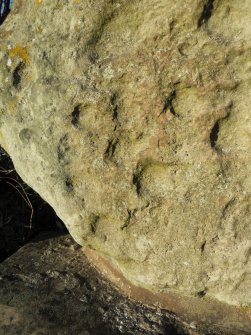 View of a cluster of cupmarks at the bottom of the W end of the S face of the stone.