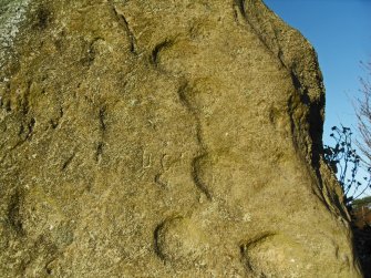 View of a cluster of cupmarks linked by a gutter or channel at the top of the E end of the S face of the stone.