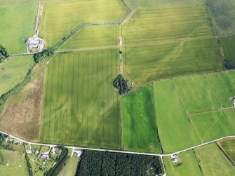 Oblique aerial view of cropmarks of the possible enclosure and possible roundhouse, looking N.