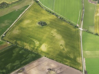 Oblique aerial view of the cropmarks of the pits and field boundary, looking WSW.