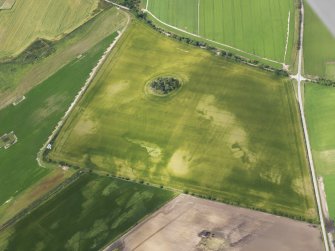Oblique aerial view of the cropmarks of the pits and field boundary, looking W.