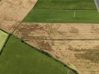 Oblique aerial view of the cropmarks of the round house, rig and possible enclosure, looking to the W.