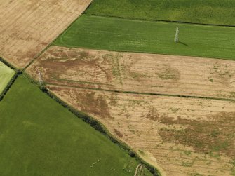 Oblique aerial view of the cropmarks of the round house, rig and possible enclosure, looking to the WSW.