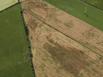 Oblique aerial view of the cropmarks of the round house, rig and possible enclosure, looking to the SW.