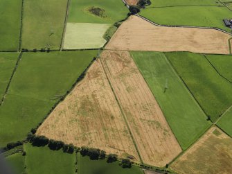 Oblique aerial view of the cropmarks of the round house, rig and possible enclosure, looking to the S.