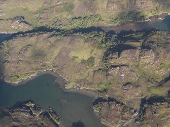 Oblique aerial view of the enclosures, buildings and fish trap, looking E.