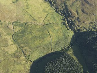 Oblique aerial view of the field boundaries, looking SE.