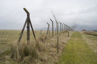 Northern boundary fence. View from W
