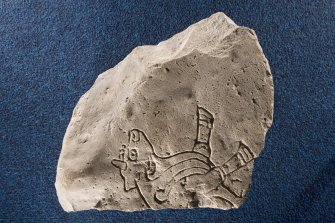 View of fragment of incised slab, Burghead no 6, depicting bull