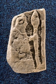 View of fragment (Drainie 8) showing warrior with shield and spear