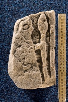 View of fragment (Drainie 8) showing warrior with shield and spear (with scale)