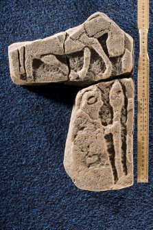 View of fragment (Drainie 8) showing warrior with shield and spear with fragment (Drainie 3) showing horse (with scale)