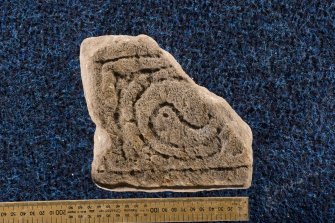 View of fragment of cross slab, Drainie no 29,  with spiral decoration (with scale)