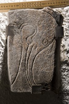 View of fragment of Inveravon symbol stone no 3, (with scale)