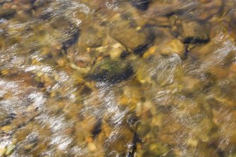 Shining South Esk river. Detail