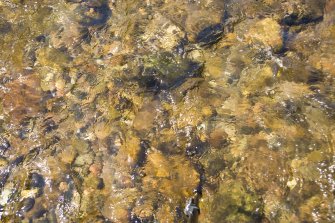 Shining South Esk river. Detail