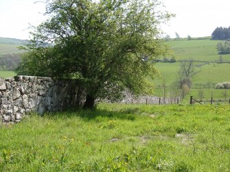 Rothiemay Castle: park wall enclosing the castle grounds