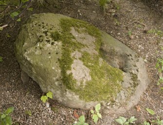 View of socket stone