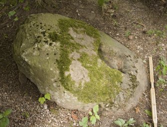 View of socket stone (with scale)