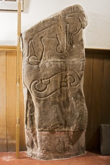 View of Pictish symbol stone (with scale)