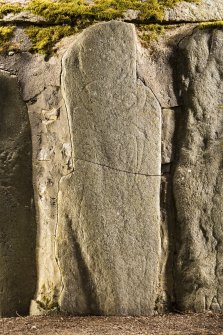 View of Knockando Pictish symbol stone no 2