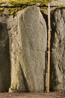 View of Knockando Pictish symbol stone no 2