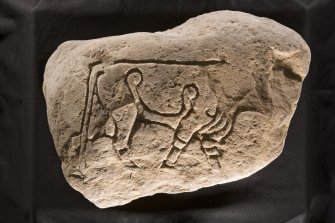 View of slab with incised bull (Burghead no. 2)