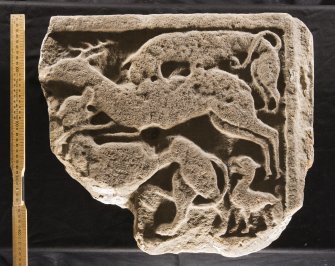 View of fragment of panel with relief carving (with scale)