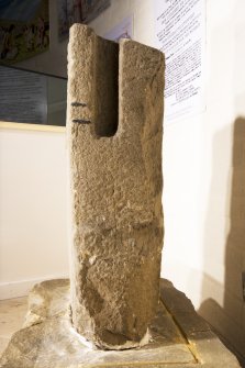 View of side of fragment showing socket