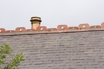 Roof and ridge tiles. Detail