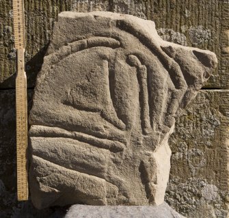 View of carved fragment (including scale), Sandside House 2