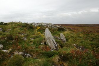 View from E showing stones on N peristalith.