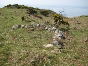 Possible sheep bucht among cairnfield