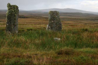 Detail of stones in NE quadrant.