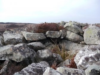 View from E showing corbel stones of chamber.