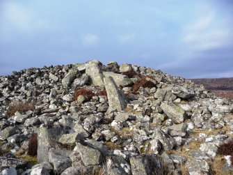 View from S showing upright stones on W side of forecourt with chamber beyond.