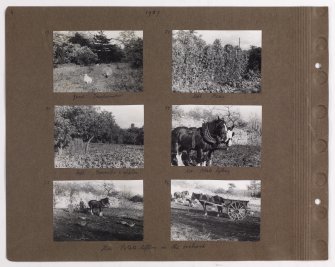 Six album photographs showing views of farming including vegetable gardens and orchard.
Page titled: '1937'
PHOTOGRAPH ALBUM NO.145: ADDISTOUN