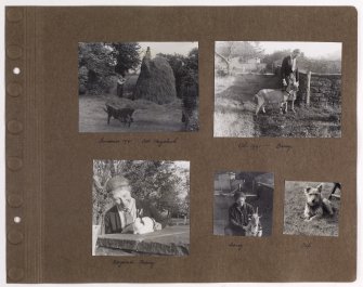 Five album photographs showing animals and haystack at Addistoun House.
PHOTOGRAPH ALBUM NO.145: ADDISTOUN
