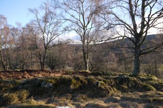 Balluig North: large enclosure with yard trees