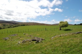 Wester Gaulrig: building 1 and enclosure looking W