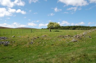 Wester Gaulrig: building 1 and enclosure looking NW