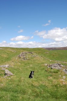 Wester Gaulrig: building 2 looking NW