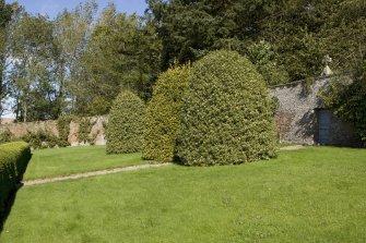 Curved brick lined wall at east end of garden from south.